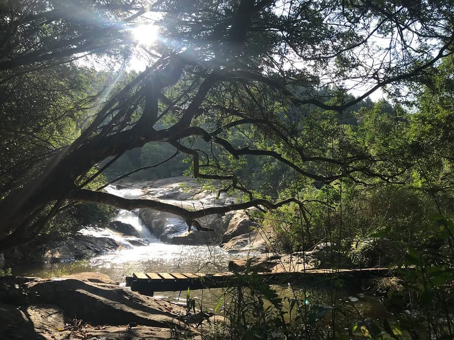 Op die Queen Rose Wandelpad