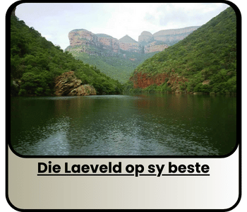 Die Laeveld op sy beste