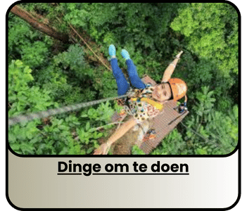 Dinge om te doen